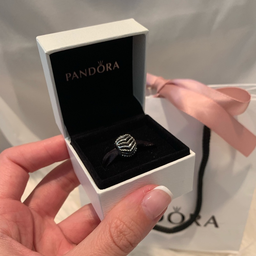 New Pandora Solver Bracelet Charm